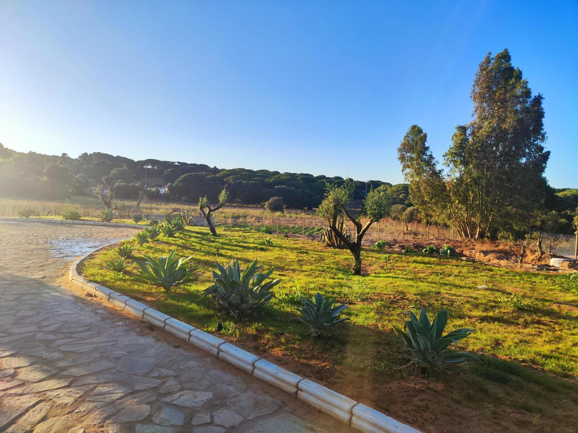 Hacienda La Yerbabuena Villa Cádiz Exterior foto