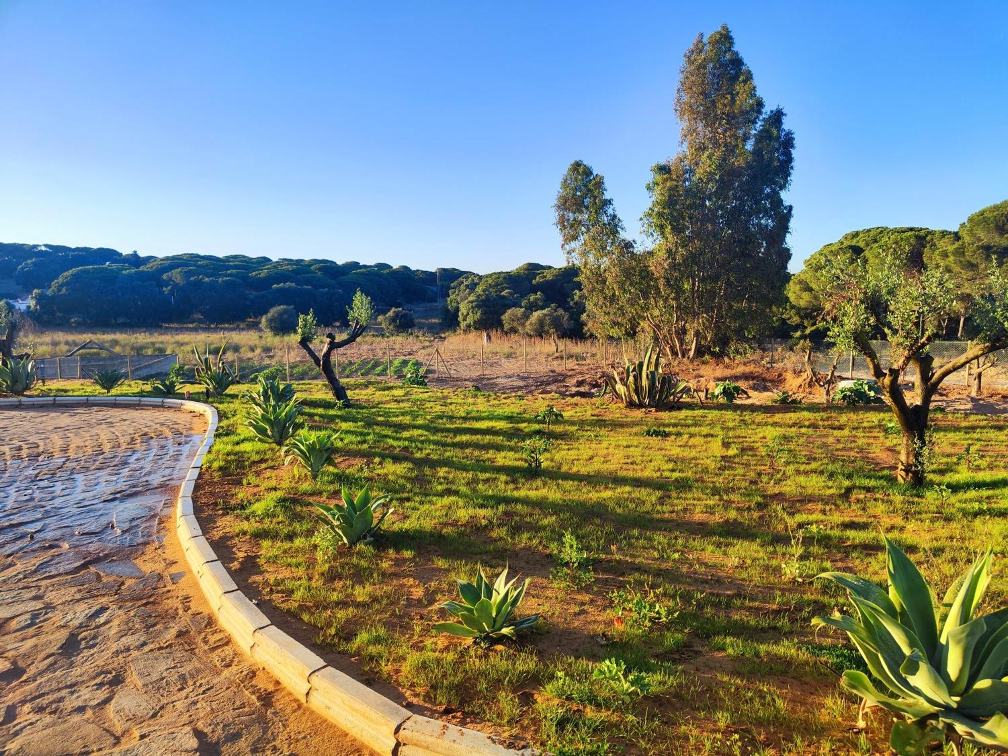 Hacienda La Yerbabuena Villa Cádiz Exterior foto